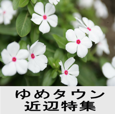 ゆめタウン近辺特集