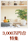 3000万円台特集