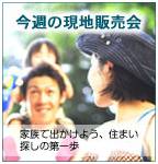 今週の現地販売会