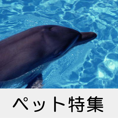 ペット特集