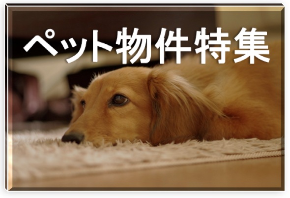 ペット可物件