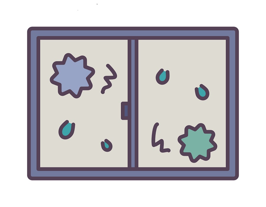 空き家の管理・点検　カビ