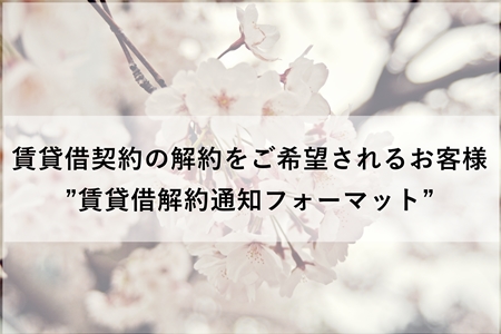 kaiyaku.JPG