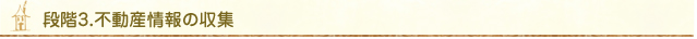 step_3.jpg