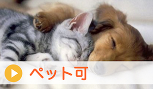 ペット可