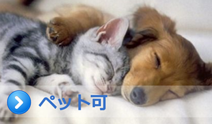 ペット可